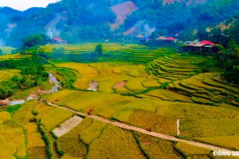 Ngắm những cánh đồng lúa chín vàng ở Pù Luông, Thanh Hóa