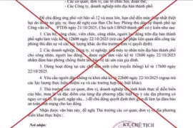 Đà Nẵng: Thông tin “nghỉ làm việc, dừng hoạt động chợ” do bão số 12 là giả mạo