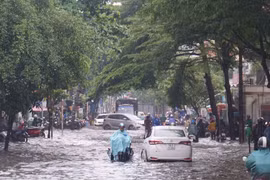 Dự báo thời tiết ngày 10/12: TP HCM tăng mưa, se lạnh về sáng sớm