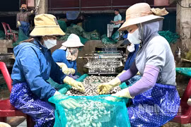 Mở đợt cao điểm toàn quốc chống buôn lậu, gian lận thương mại trong ngành thủy sản