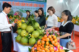 Bắc Ninh: Đẩy mạnh xúc tiến thương mại, quảng bá nông sản địa phương