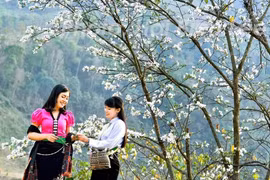 Du khách 'un ùn' về cao nguyên Bắc Hà xem nhảy lửa, du xuân