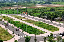 Hà Nội: Dự kiến đấu giá lại 2 khu đất 'hụt' tại Sóc Sơn và Thanh Oai trong tháng 3