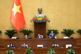 Quốc hội thảo luận về cơ chế, chính sách đặc thù đầu tư xây dựng dự án điện hạt nhân Ninh Thuận