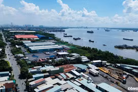 Hơn 55.000 lô đất ở TP HCM đủ điều kiện miễn giấy phép xây dựng
