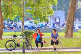 Hà Nội vẫn thiếu công viên cây xanh, vườn hoa, không gian công cộng