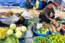 Bão đi qua, thị trường rau củ “đứng ngồi không yên”