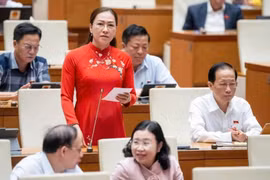 Đại biểu Quốc hội đề xuất luật hóa ‘làm việc từ xa’