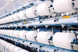 Đăng ký một đằng, thực hiện một nẻo, Sợi Thế Kỷ bị phạt 77,5 triệu đồng