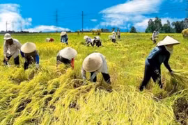 Chuyển đổi số nông nghiệp: Động lực mới cho giảm nghèo bền vững