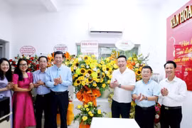 Vô đề