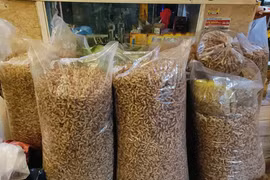 Gia Lai: Người dân đổ xô đi nhặt xác ve sầu, bán với giá gần 2 triệu đồng/kg