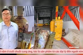 Quản lý khí Clo trong nuôi trồng thuỷ sản: Chuyên gia chỉ ra 'lỗ hổng' nằm ở cuối chuỗi cung ứng