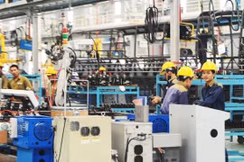 WB: GDP Việt Nam năm 2026 có thể tăng 6,1%