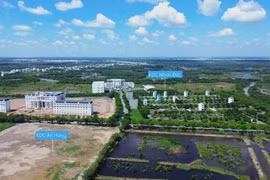 Vạn Phát Hưng báo lỗ 9,2 tỷ đồng quý I/2025 do không ghi nhận doanh thu bất động sản