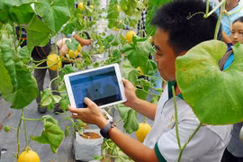 Xây dựng, triển khai chương trình hỗ trợ chuyển đổi số cho hợp tác xã ngay trong năm 2026