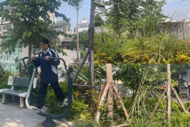 Hà Nội: Vườn hoa Thi Sách hoang hóa, cỏ mọc um tùm