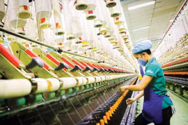 Trình Chính phủ Nghị định hỗ trợ lãi suất 2% cho dự án xanh trong tháng 11