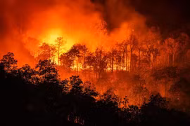 Thế giới sắp đón hiện tượng El Nino mạnh, khủng hoảng nhiên liệu thêm trầm trọng