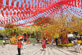 Tour Tết 2026 “nóng” sớm: Du khách đổi gu, doanh nghiệp đổi cách làm