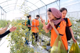 Nhiều đại học phía Nam 'khai tử' tổ hợp truyền thống, tuyển sinh 2026 xáo trộn mạnh