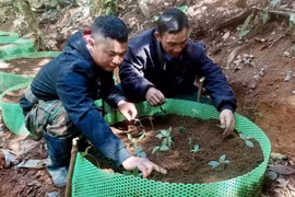 Quảng Ngãi: Không nhận hoa chúc mừng đại hội, xã kêu gọi cây giống giúp người nghèo