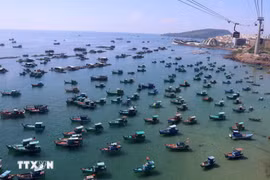 Gỡ “thẻ vàng” IUU: Mệnh lệnh quốc gia, vì danh dự đất nước, vì sinh kế ngư dân