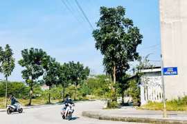 Dự báo thời tiết ngày 9/2: Nam Bộ không mưa, trưa chiều trời nắng