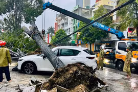 Bão số 5 gây nhiều thiệt hại tại Thanh Hóa