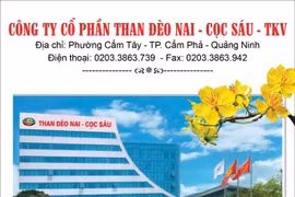 Công ty CP Than Đèo Nai - Cọc Sáu: Bước đầu hoạt động hiệu quả trên mô hình mới