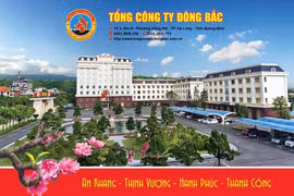 Tổng Công ty Đông Bắc: Trên 30 năm xây dựng và phát triển