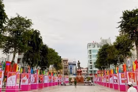 Triển lãm tranh cổ động tấm lớn về Ngày Tổng tuyển cử đầu tiên tại An Giang