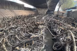 Thủ tướng chỉ đạo làm rõ nguyên nhân, xử lý trách nhiệm vụ cháy bãi trông giữ xe dưới gầm cầu Vĩnh Tuy