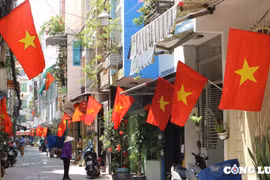 TP HCM ngập tràn cờ đỏ sao vàng trước ngày Giỗ Tổ Hùng Vương