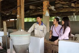 Vốn tín dụng chính sách giúp người dân Lâm Đồng phát triển kinh tế, vươn lên thoát nghèo