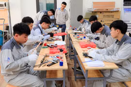 Bộ GD&ĐT: 'Không thể sáp nhập trường nghề cứng nhắc, Hà Nội và TP HCM phải là ngoại lệ'