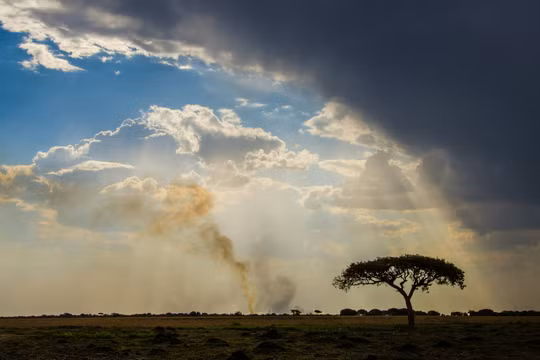 El Nino 'siêu mạnh' có thể khiến châu Phi thiệt hại tới 20 tỷ USD