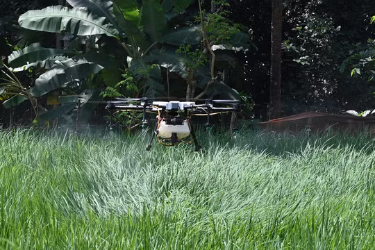 Nông trại Trung Quốc gần như không cần người nhờ AI và drone