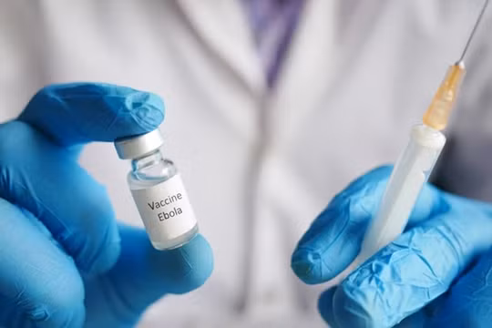 Bao giờ vắc-xin Ebola mới sẵn sàng?