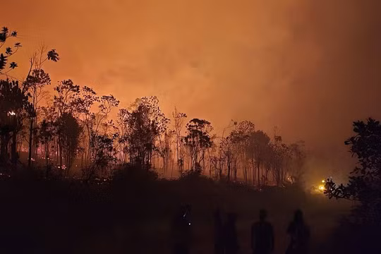 Khí thải cháy rừng Indonesia đạt gần 20 triệu tấn, cao nhất thế giới