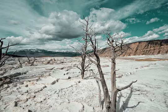 El Nino đã hình thành: Nắng nóng, hạn hán và mưa cực đoan sắp gia tăng