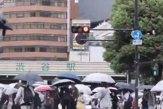 Tokyo trải qua chuỗi ngày mưa dài nhất trong lịch sử ghi nhận