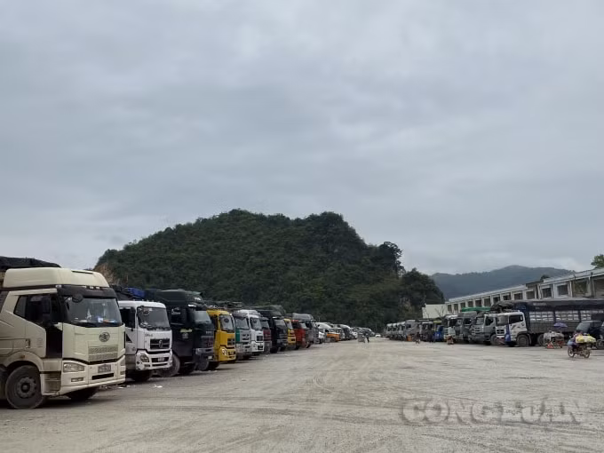 Các xe chở hàng hóa nông sản ở khu vực cửa khẩu sẽ được tạo điều kiện để thông quan. Ảnh: Hoàng Dương