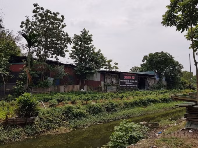 Nhà xưởng xây dựng trái phép trên đất nông nghiệp quy mô lớn tại Tổ 5, phường Yên Nghĩa không bị xử lý.