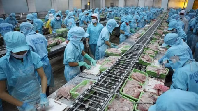 Kết thúc quý đầu năm, nhiều doanh nghiệp thủy sản ghi nhận kết quả kinh doanh ảm đạm.