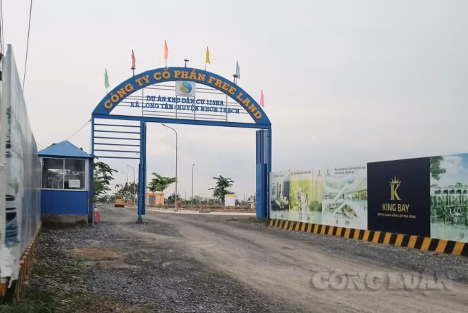 Dự án King Bay tại Đồng Nai do Free Land làm chủ đầu tư