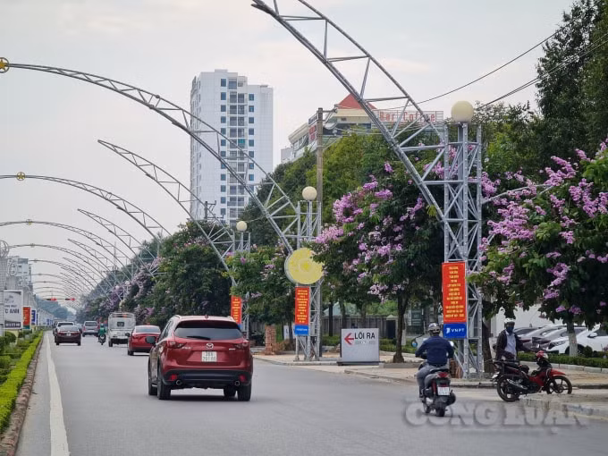 Bằng lăng tím được UBND tỉnh Thanh Hoá yêu cầu trồng trong khuôn viên, trên tuyến đường có vỉa hè hẹp ≤ 3m. Những chùm hoa với chiếc cánh mỏng manh mang đầy lưu luyến bởi sắc tím làm mê đắm lòng người. Những sắc màu thương nhớ tháng 5 gợi niềm xao xuyến như muốn níu chân ai đó ngang qua, dừng lại ngắm nhìn cho bằng được.