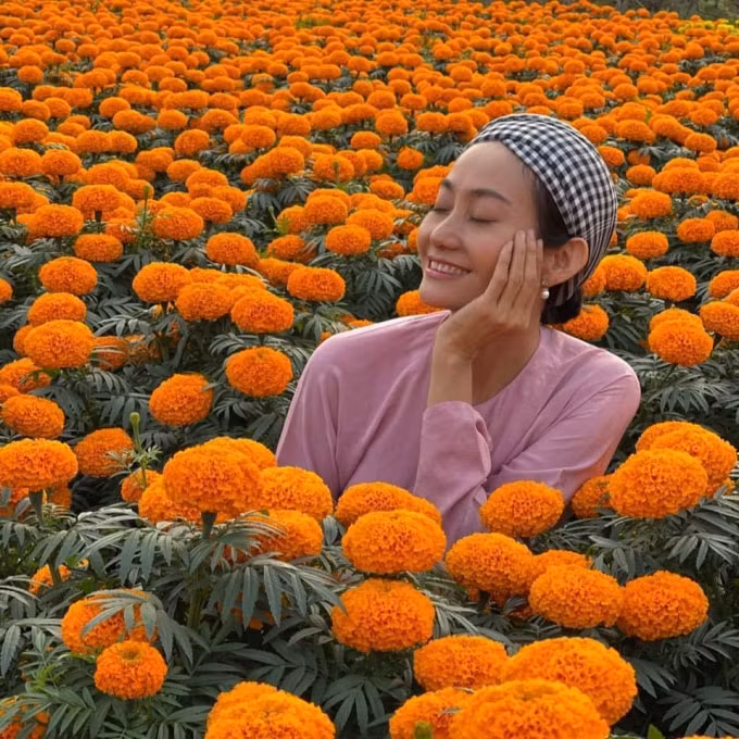Thông tin nữ nghệ sĩ tham gia ứng cử nhiệm kỳ mới khiến nhiều khán giả bất ngờ.