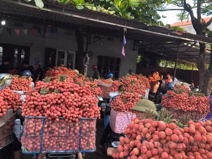 Bắc Giang đề nghị các tỉnh, TP tạo điều kiện lưu thông hàng hóa, nông sản. Ảnh: Thủy Tiên