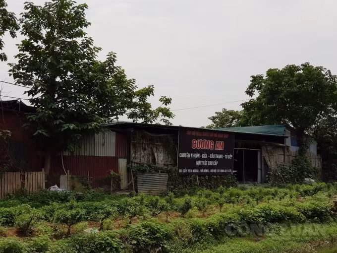 Khu nhà xưởng được dựng trái phép trên đất nông nghiệp tại tổ 5 phường Yên Nghĩa là địa điểm sản xuất của Cơ sở sản xuất đồ gỗ cao cấp Cương An.